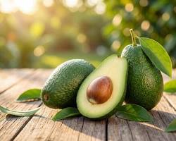 Real avocado fruit image