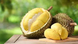 Real durian fruit image