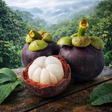 Real mangosteen fruit image