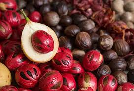 Nutmeg spice